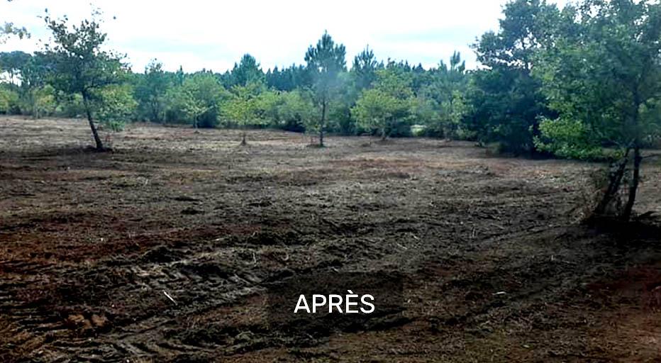 Prestation de débroussaillage - Après