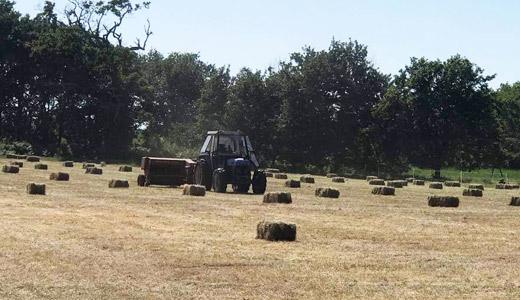 production de foin près de Mimizan